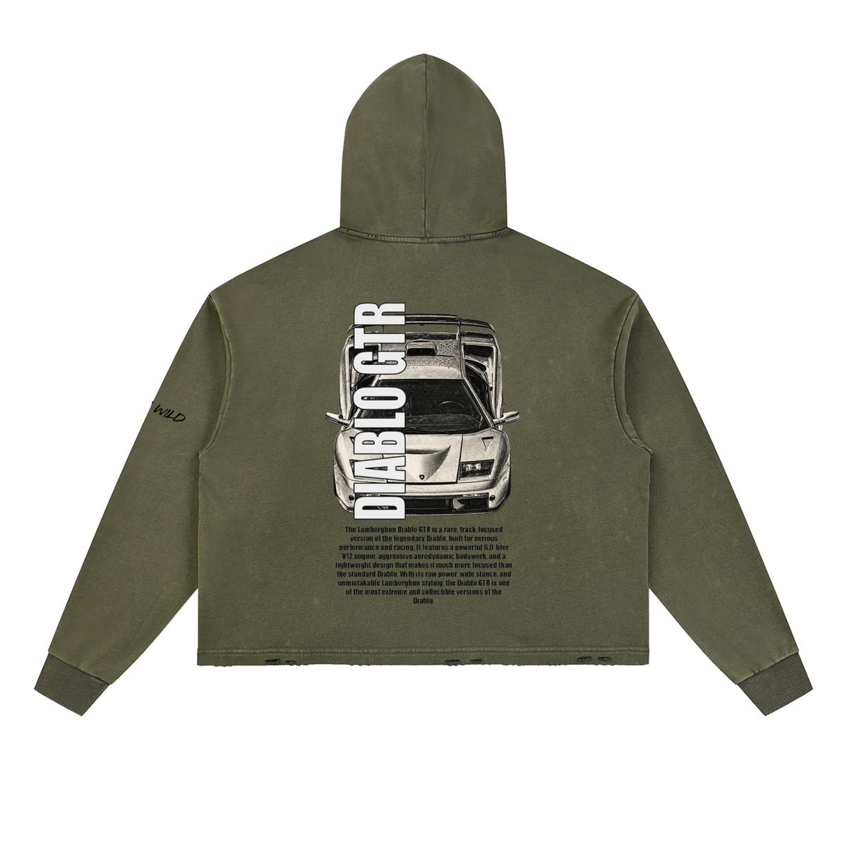 LAMBORGHINI DIABLO GTR Mountain Top Vintage Washed Frayed-Hem Hoodie