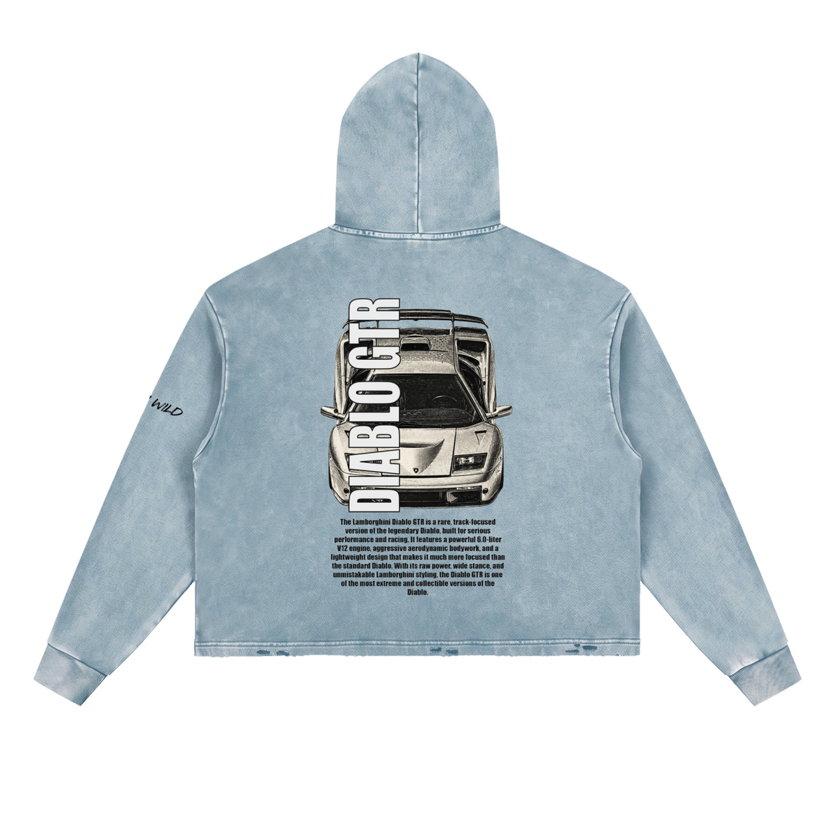 LAMBORGHINI DIABLO GTR Mountain Top Vintage Washed Frayed-Hem Hoodie