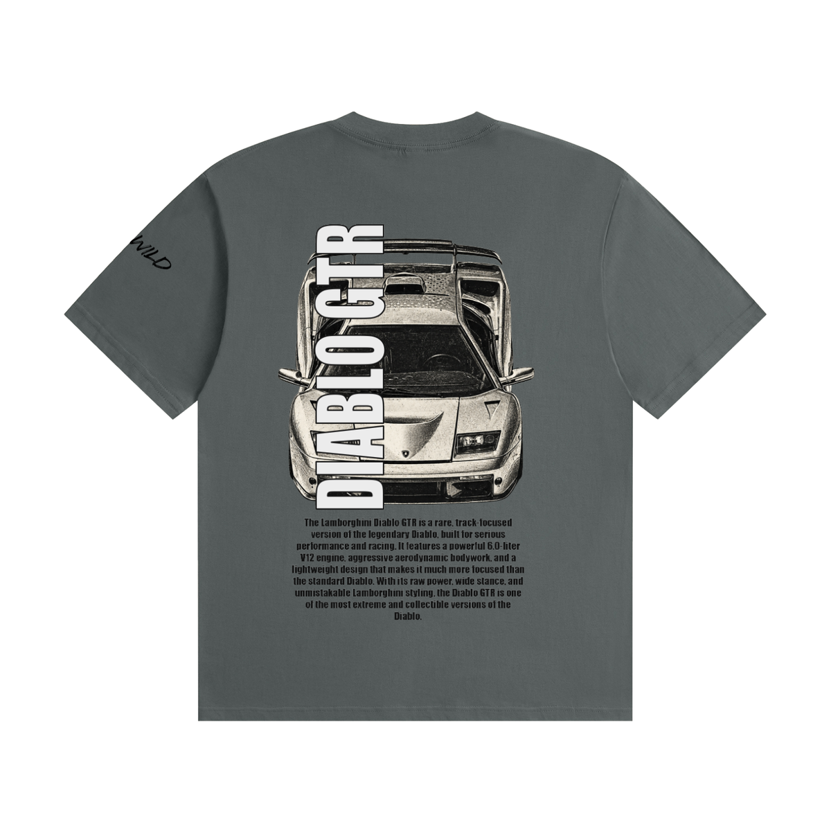 LAMBORGHINI BIABLO GTR Mountain Top Unisex Seamless Cotton T-Shirt