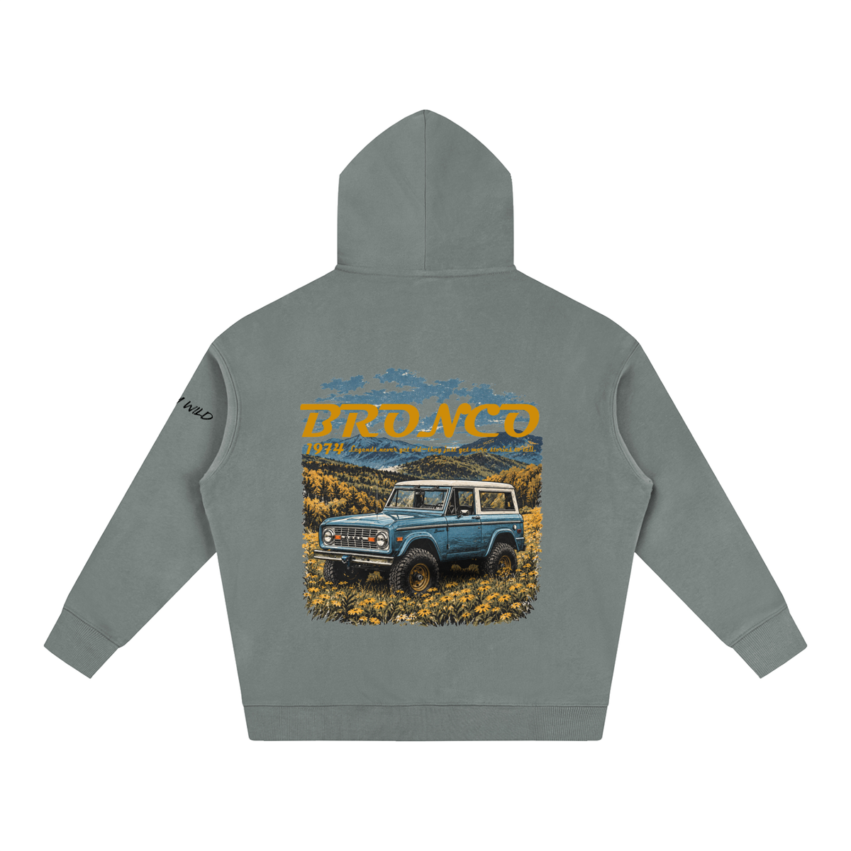 1974 Bronco Mountain Top Oversize Fleeced Hoodie