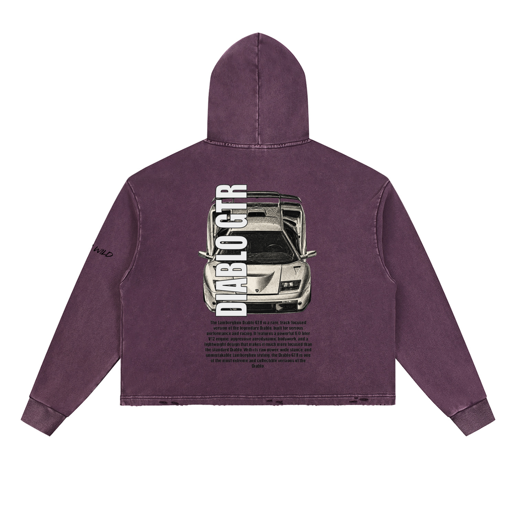 LAMBORGHINI DIABLO GTR Mountain Top Vintage Washed Frayed-Hem Hoodie