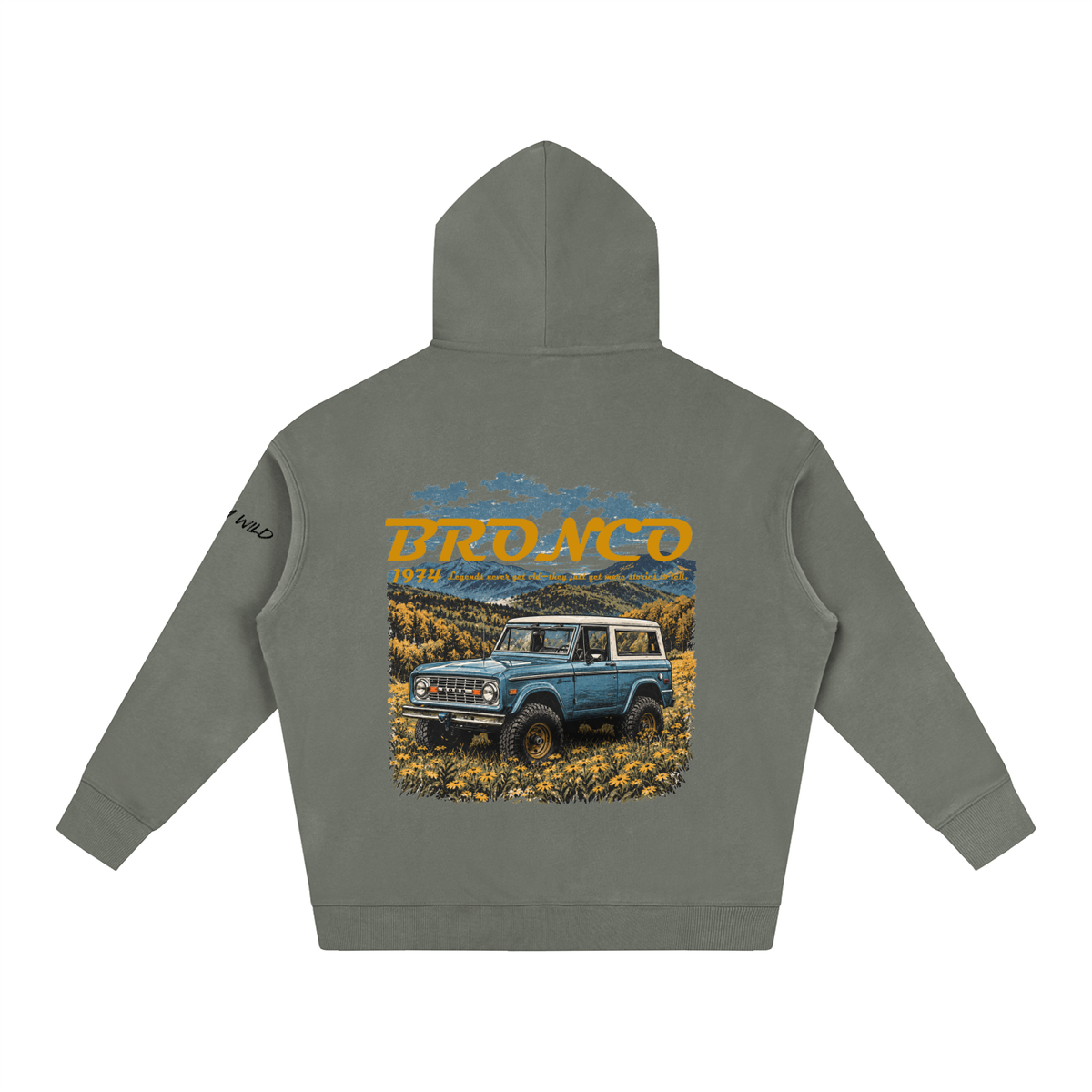 1974 Bronco Mountain Top Oversize Fleeced Hoodie