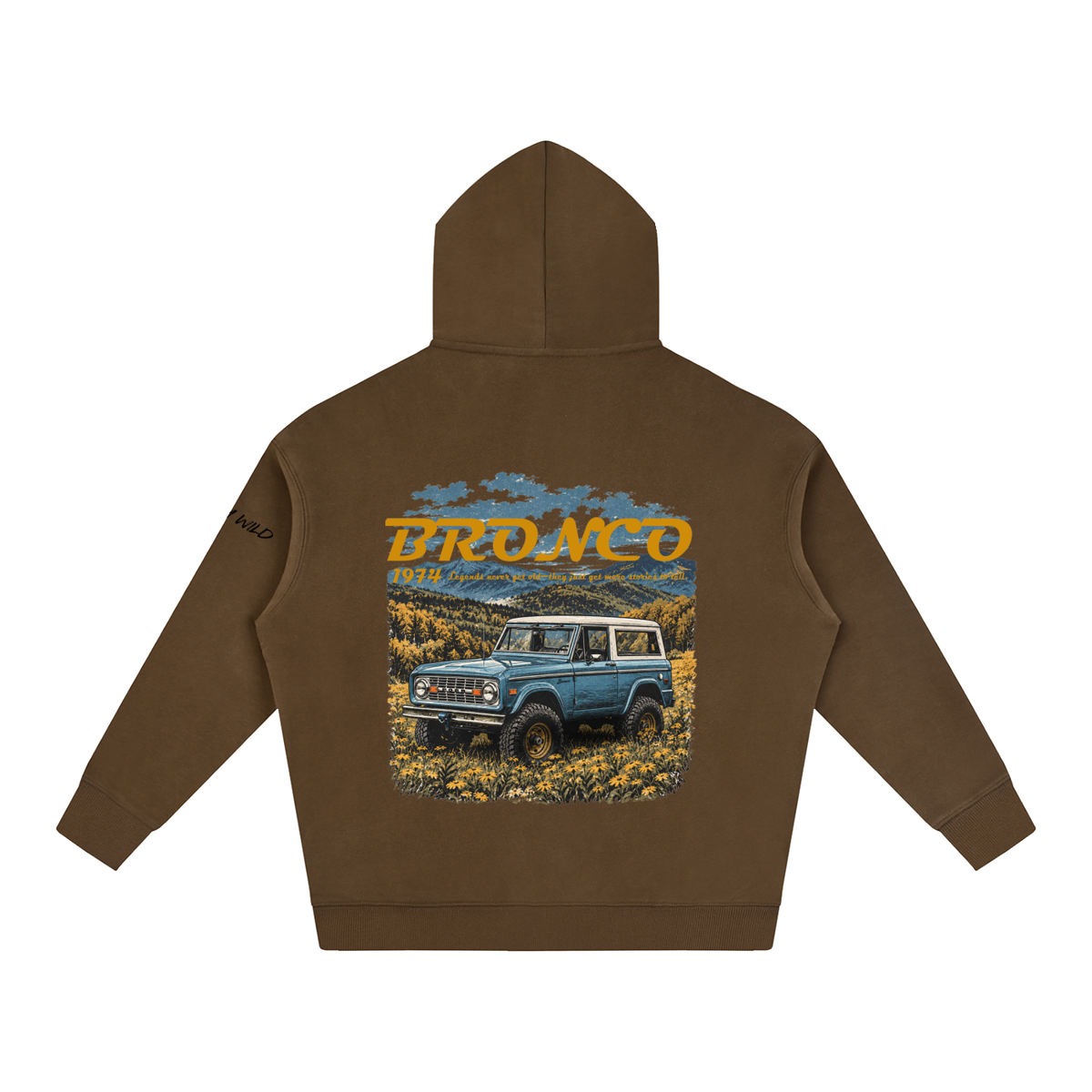 1974 Bronco Mountain Top Oversize Fleeced Hoodie