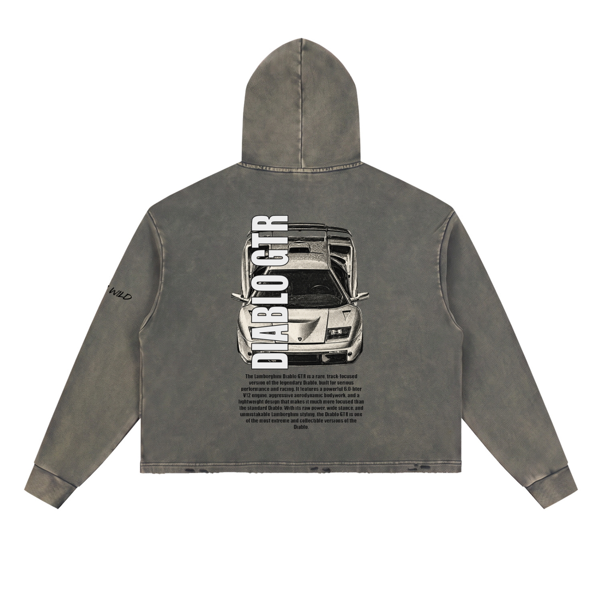 LAMBORGHINI DIABLO GTR Mountain Top Vintage Washed Frayed-Hem Hoodie