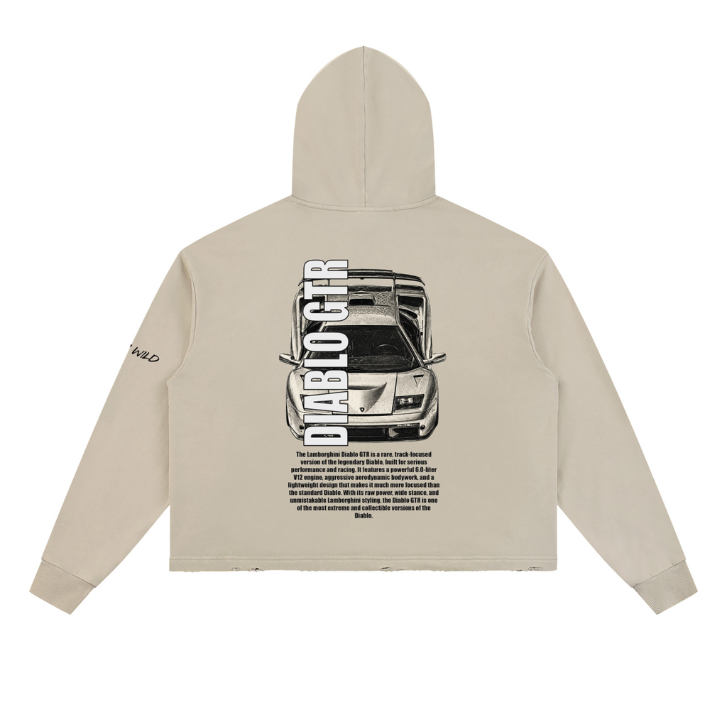 LAMBORGHINI DIABLO GTR Mountain Top Vintage Washed Frayed-Hem Hoodie