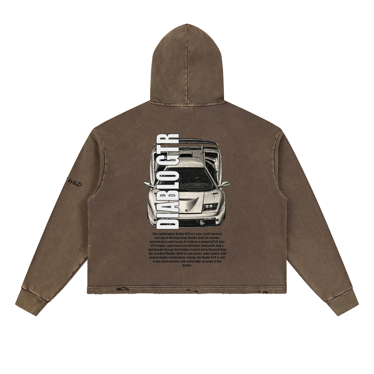 LAMBORGHINI DIABLO GTR Mountain Top Vintage Washed Frayed-Hem Hoodie