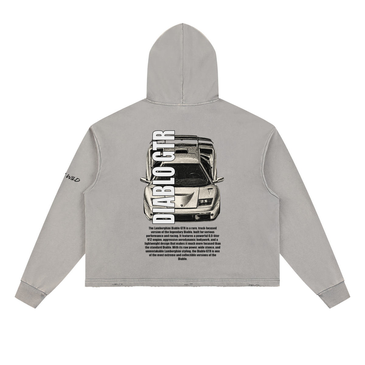 LAMBORGHINI DIABLO GTR Mountain Top Vintage Washed Frayed-Hem Hoodie