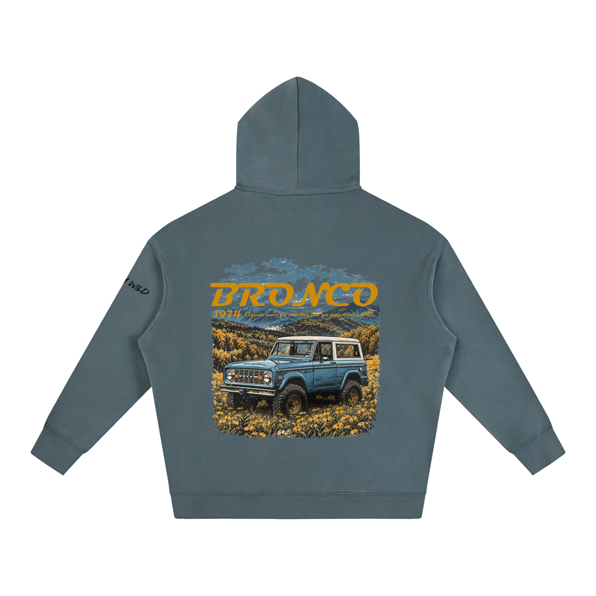 1974 Bronco Mountain Top Oversize Fleeced Hoodie