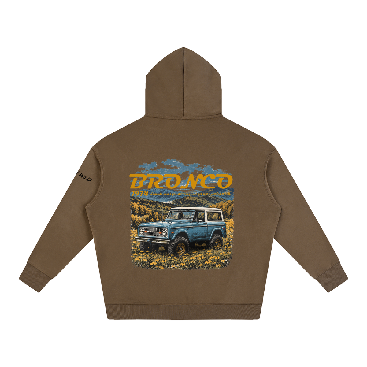 1974 Bronco Mountain Top Oversize Fleeced Hoodie