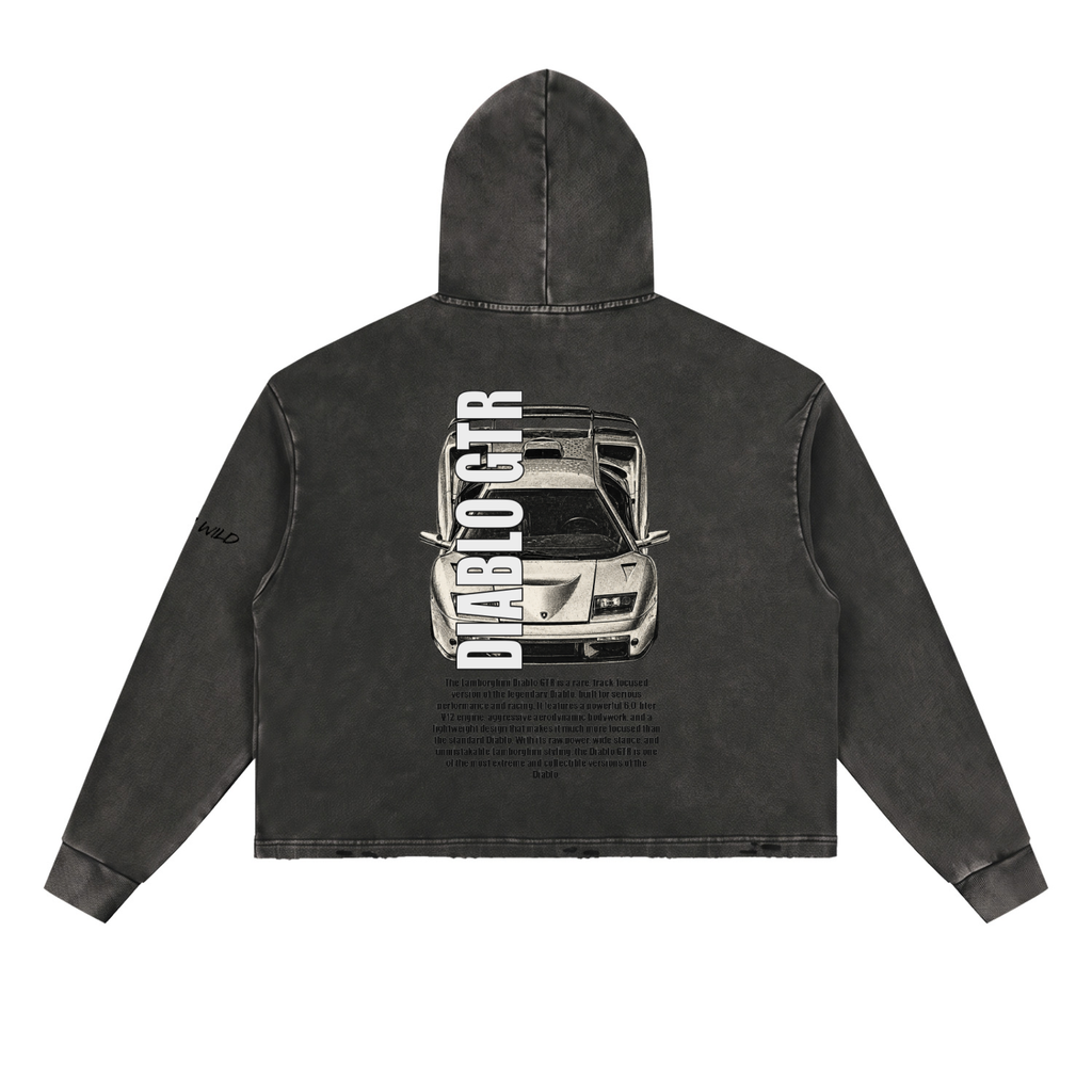 LAMBORGHINI DIABLO GTR Mountain Top Vintage Washed Frayed-Hem Hoodie