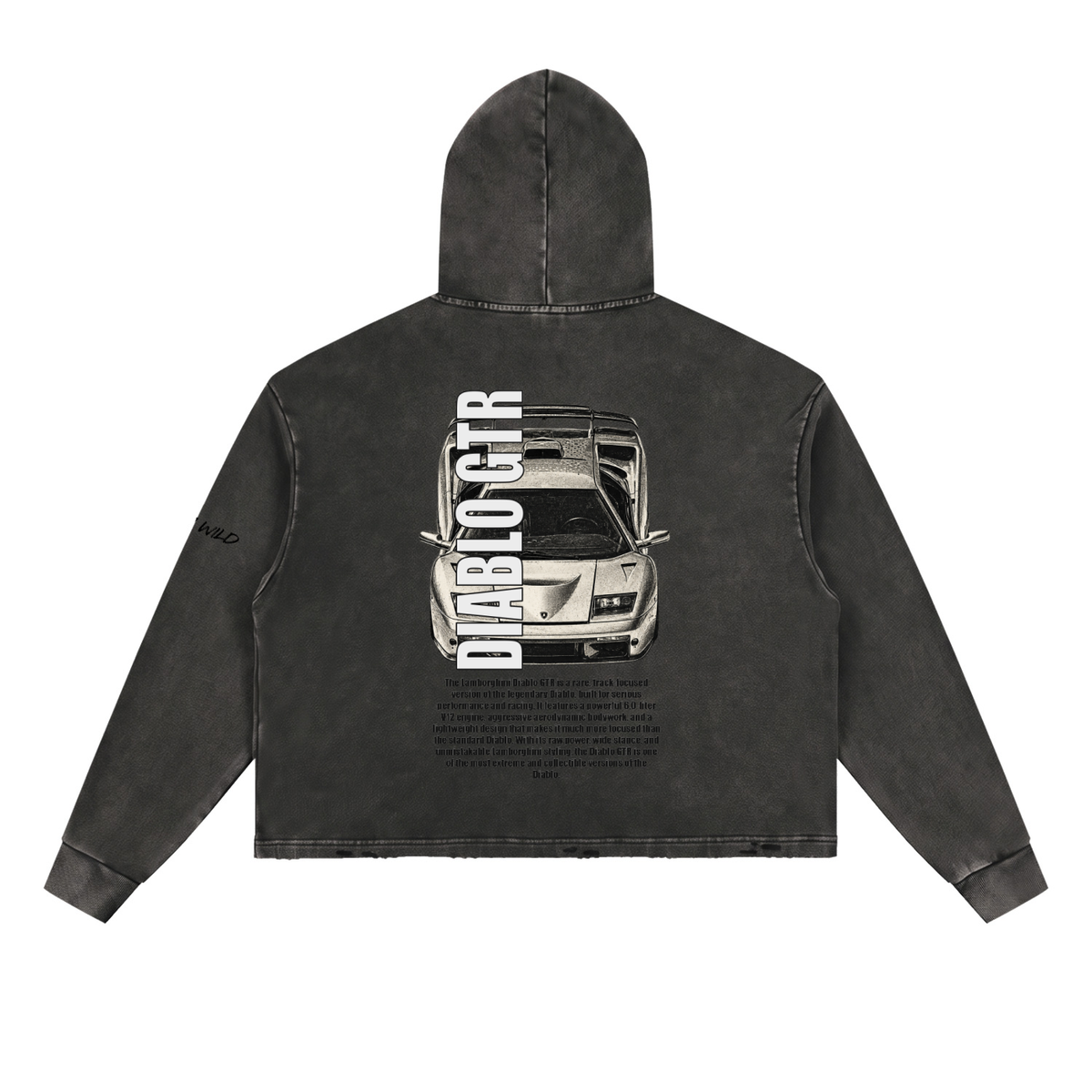 LAMBORGHINI DIABLO GTR Mountain Top Vintage Washed Frayed-Hem Hoodie