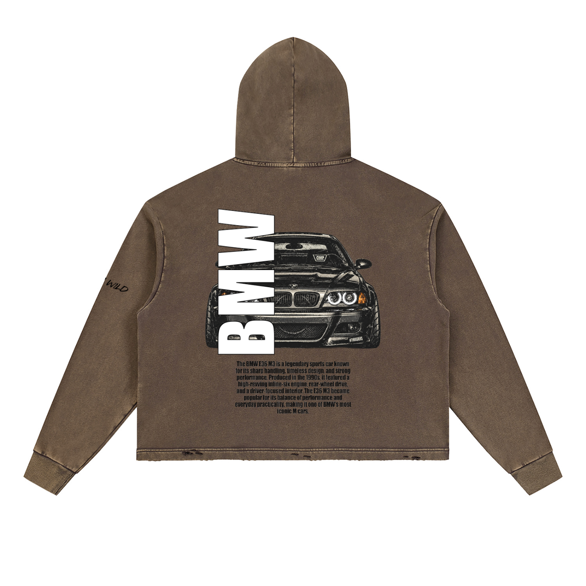 BMW E46 Mountain Top Vintage Washed Frayed-Hem Hoodie