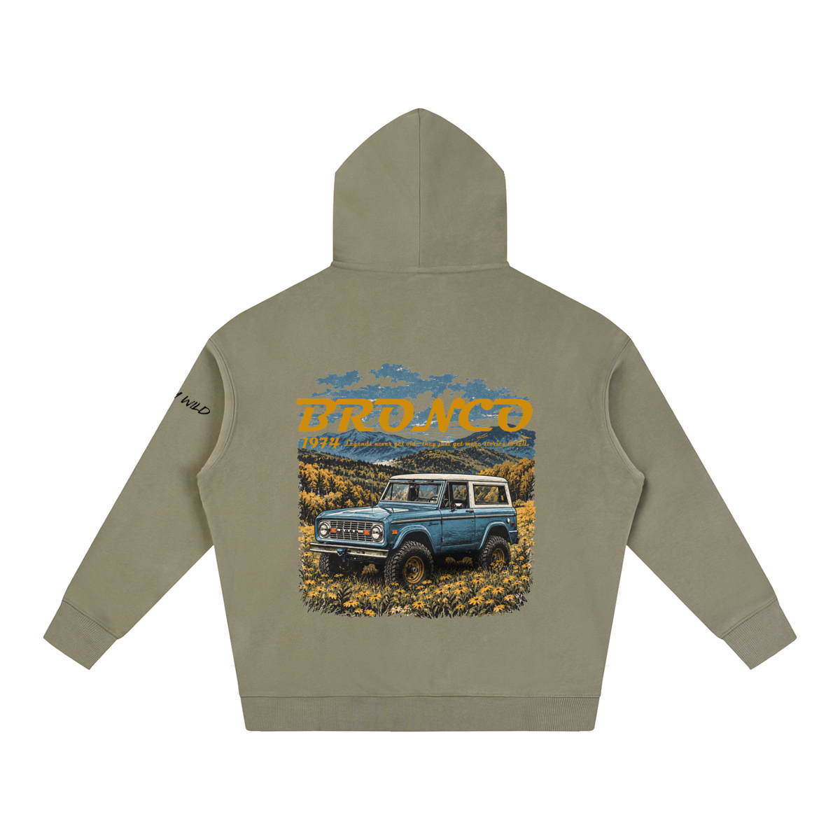 1974 Bronco Mountain Top Oversize Fleeced Hoodie