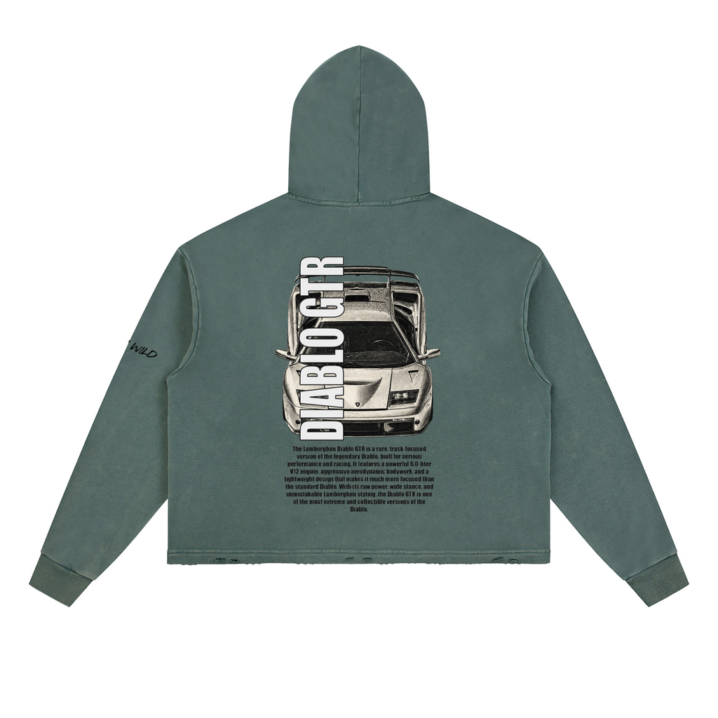 LAMBORGHINI DIABLO GTR Mountain Top Vintage Washed Frayed-Hem Hoodie
