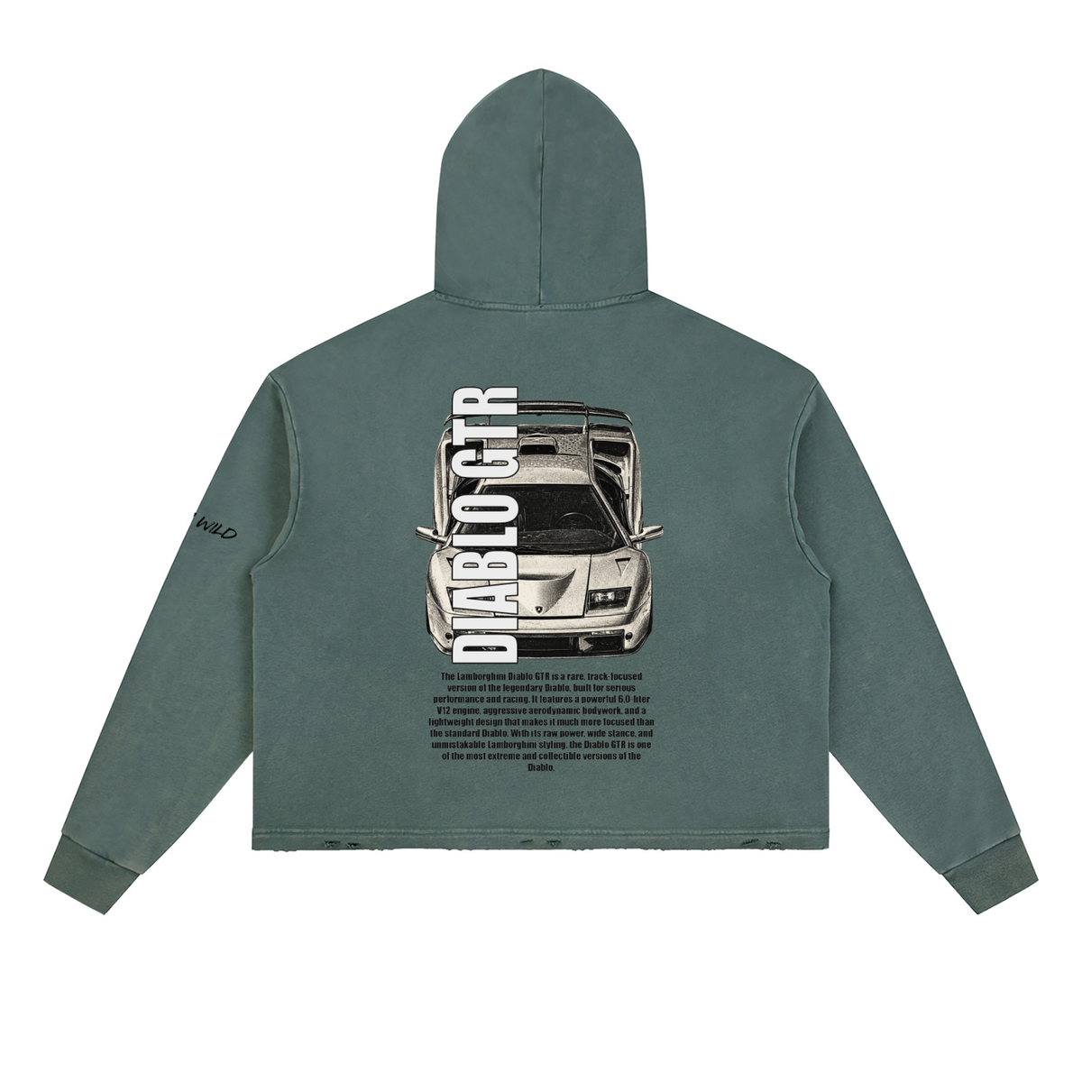 LAMBORGHINI DIABLO GTR Mountain Top Vintage Washed Frayed-Hem Hoodie